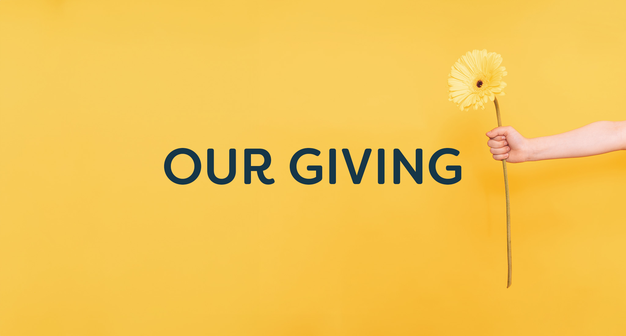 Hand holding a flower against a yellow background with 'Our Giving' text overlay.