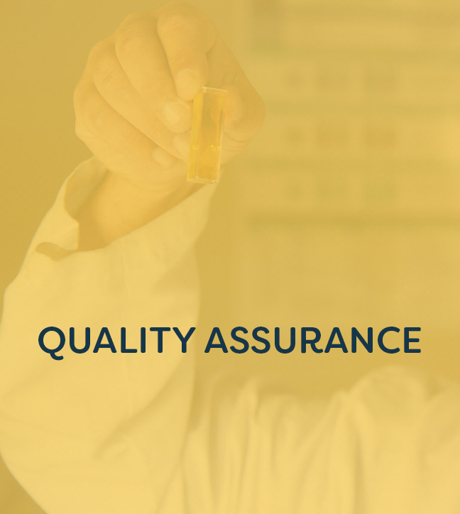 Man in lab coat testing honey with "Quality Assurance" text overlay.