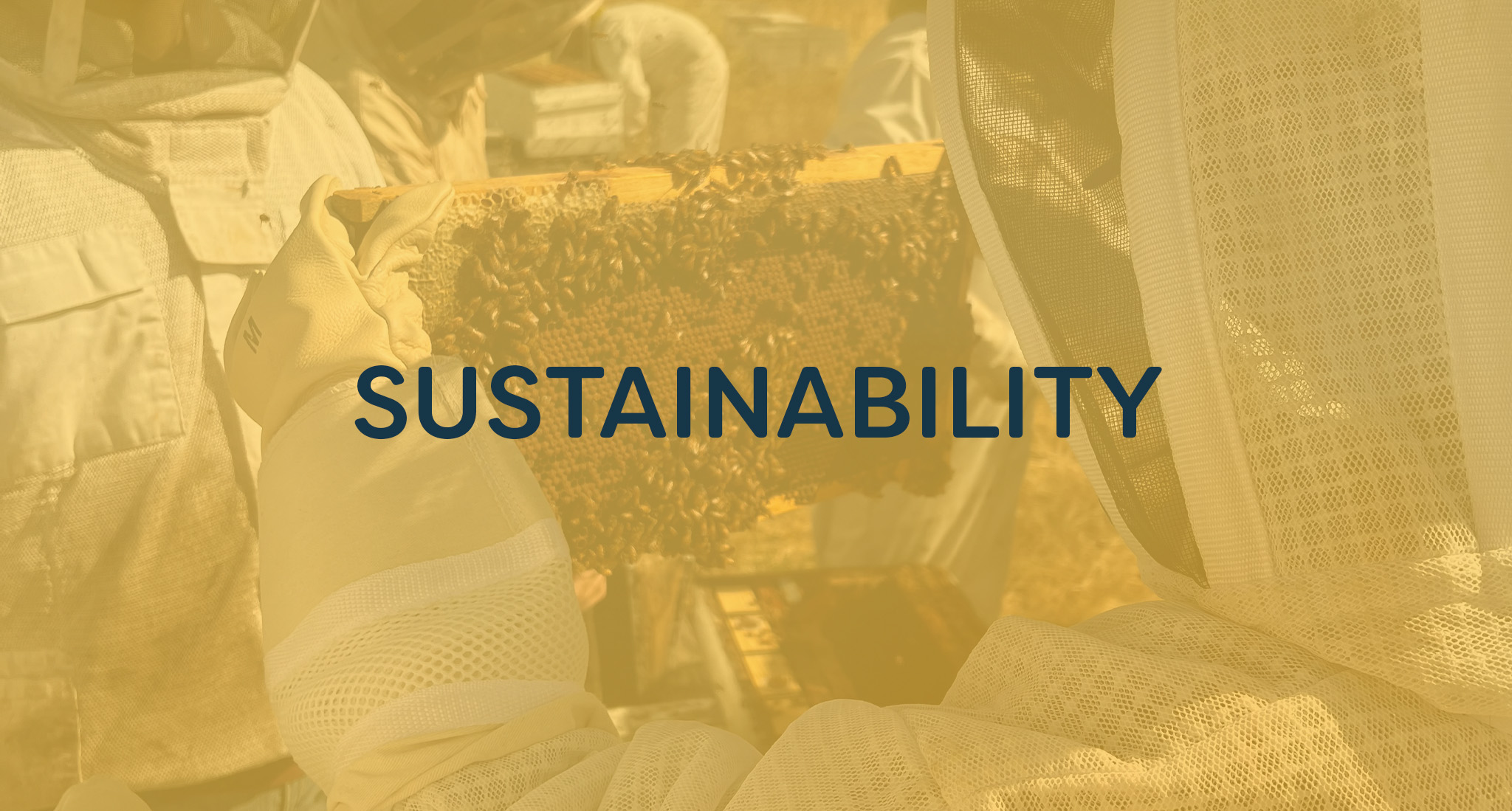 Beekeeper holding hive with "Sustainability" overlay text.