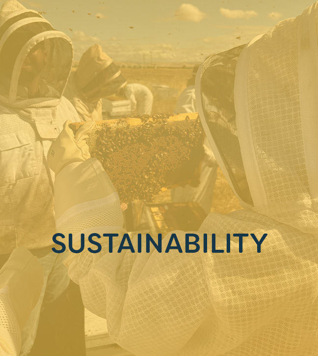 Beekeeper holding hive with "Sustainability" overlay text.