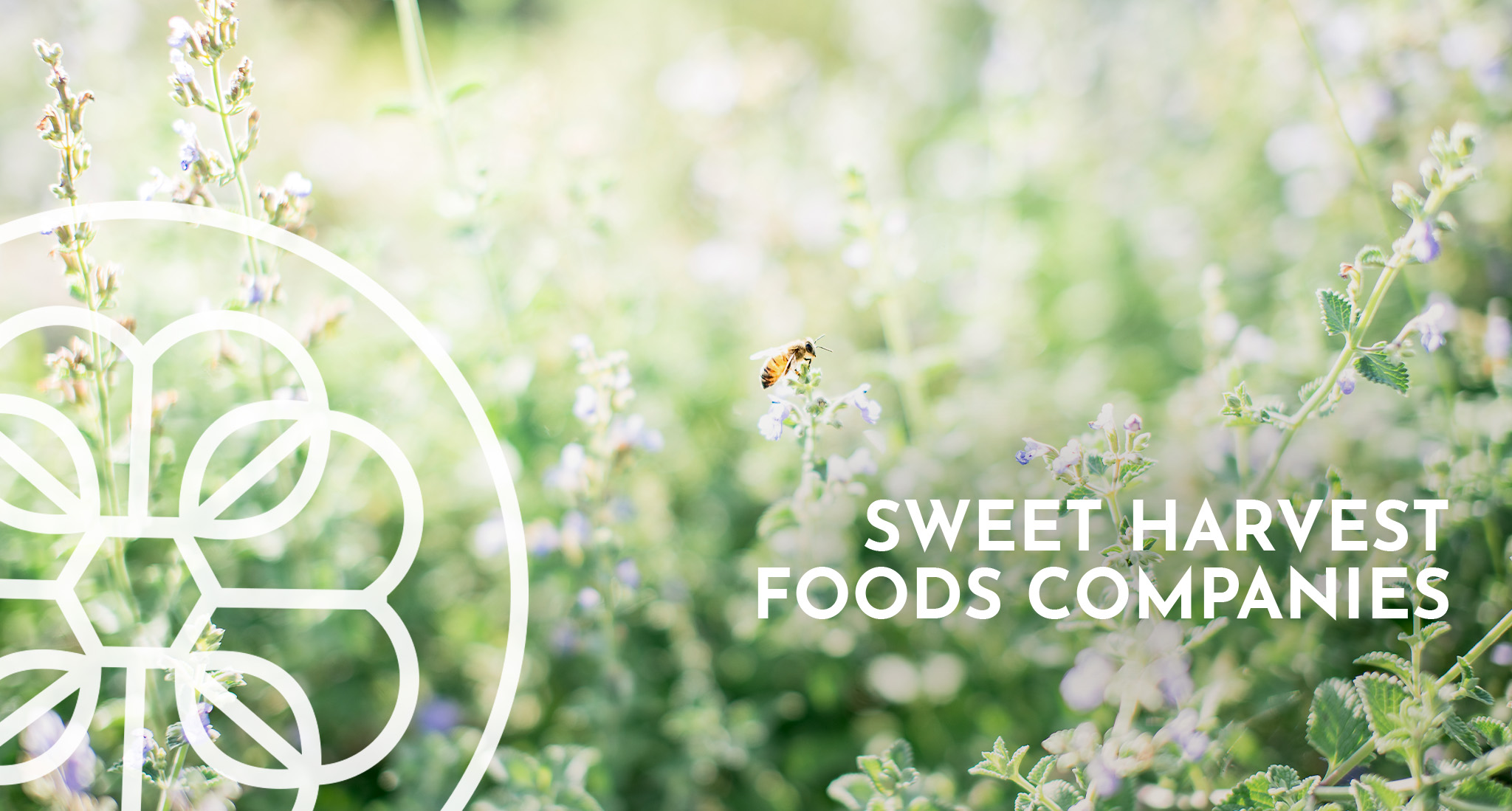 A bee hovers over a floral field with the Sweet Harvest Foods Companies logo overlay.