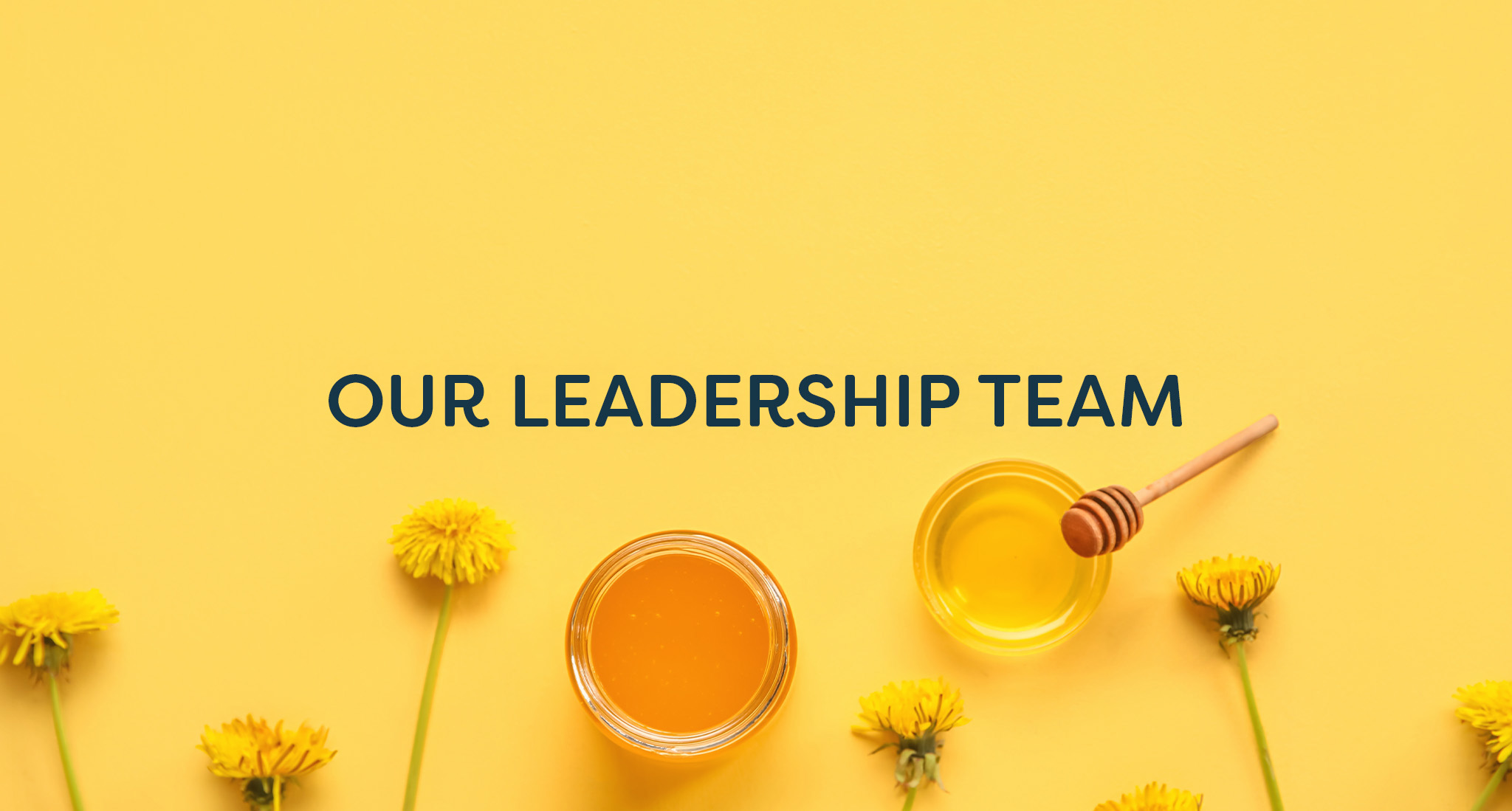 Yellow flowers and a bowl of honey on a yellow background with "Our Leadership Team" as a text overlay.