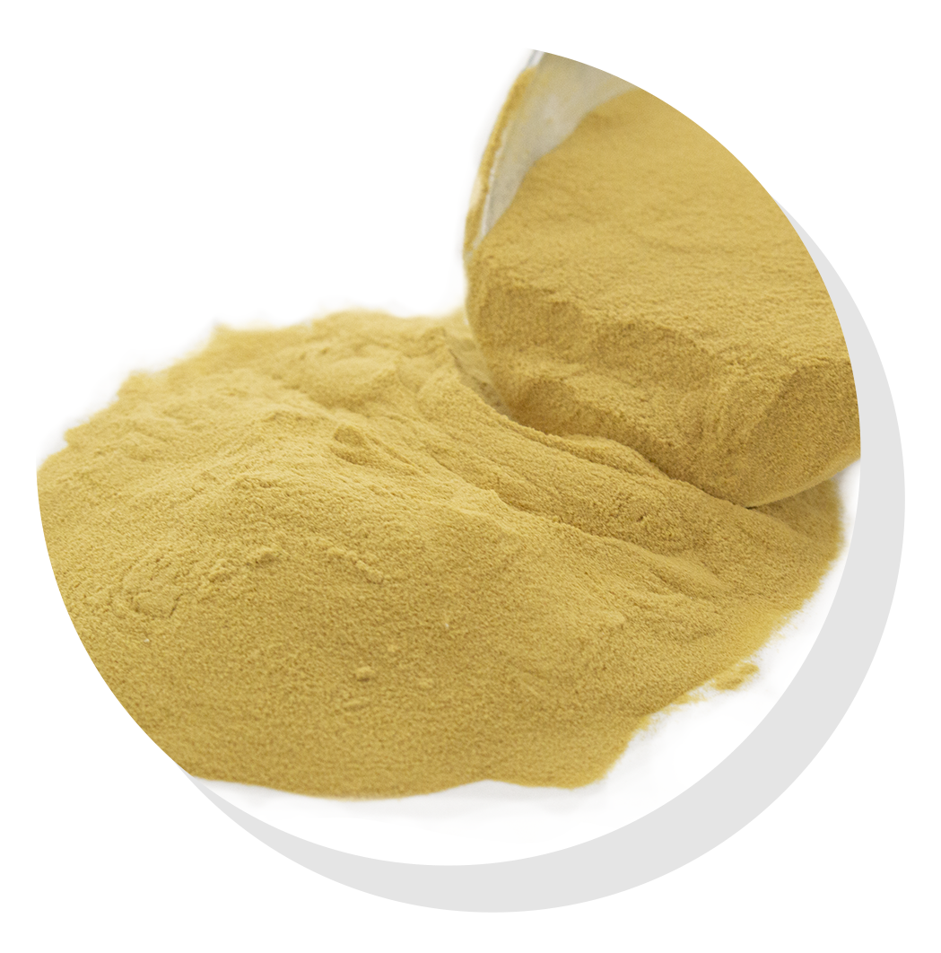 Spray dried molasses powder on white background.