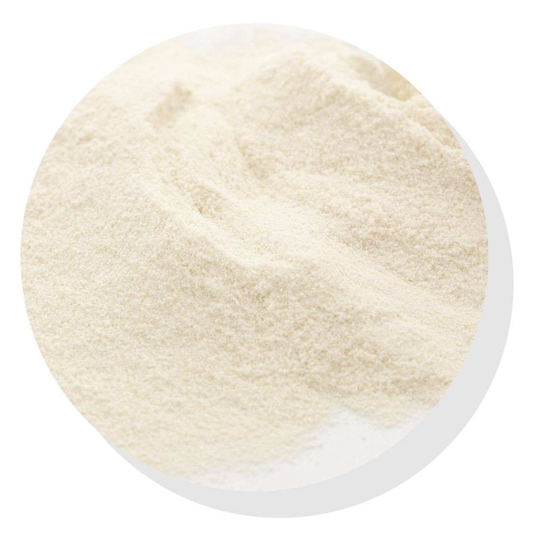 Spray dried honey powder on white background.