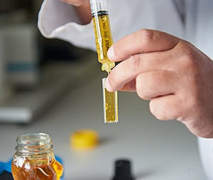 Close-up of a scientist's hands holding a test tube with a yellow liquid, conducting an experiment in a lab.